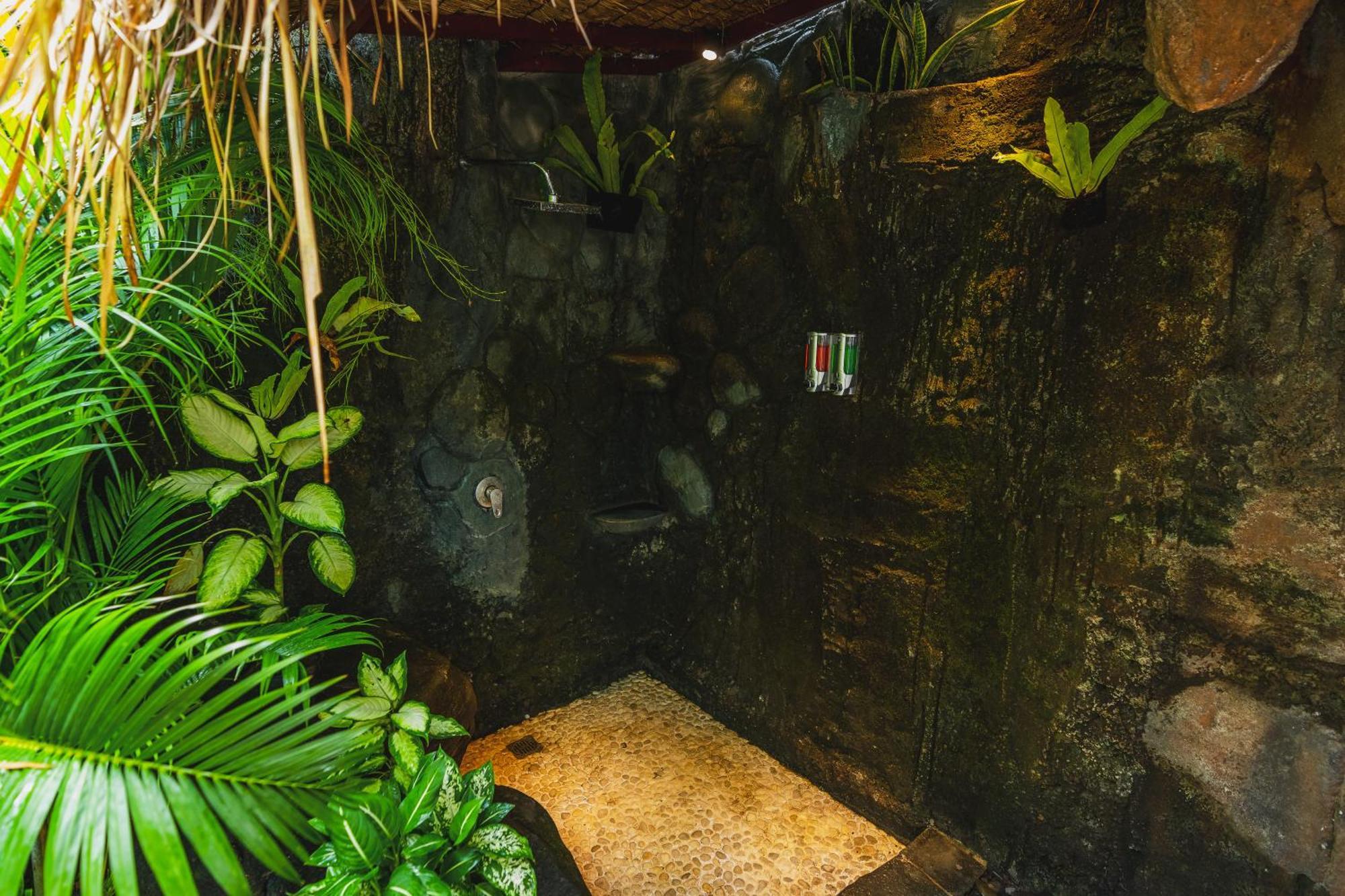 Tropical Flintstones *
